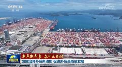 【新年新景象形象 奋斗合理时】加速培育外贸新